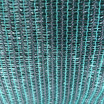Green fabric webbing